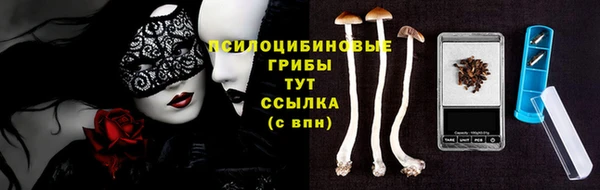 apvp Бронницы