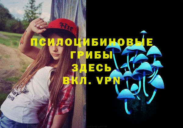 мет Бородино