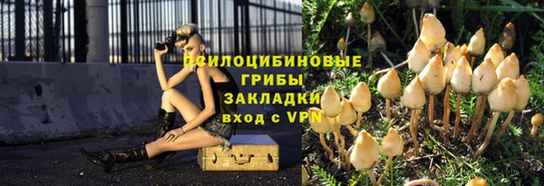 герыч Мегион