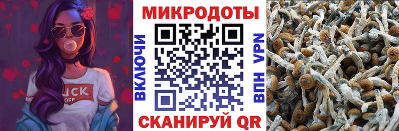 Галлюциногенные грибы Cubensis  Мантурово 